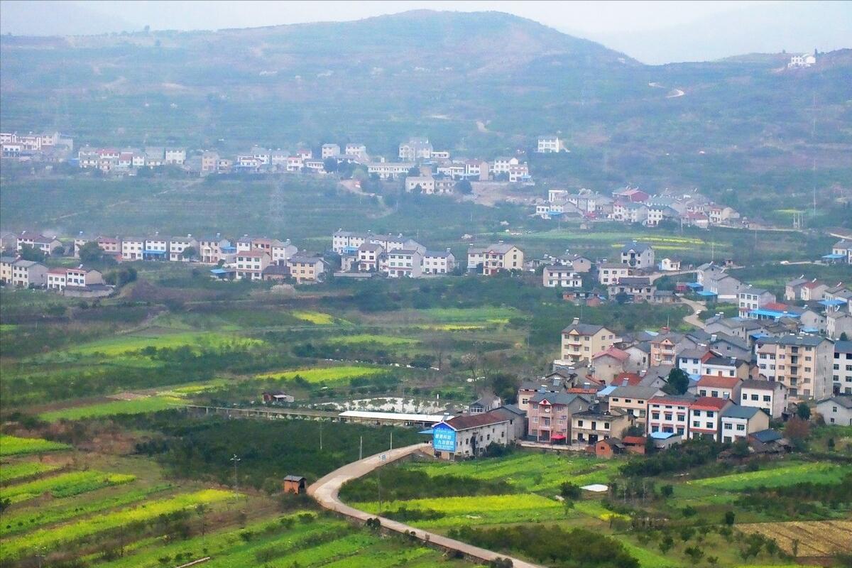 养殖场遭遇违法强拆怎么赔偿,养殖场占用基本农田被强拆怎么办