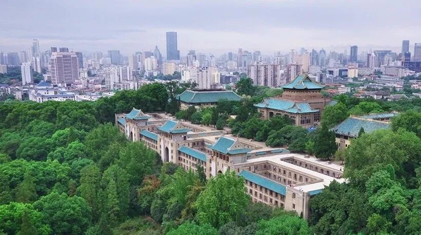 一个字奖10万元！这一“冷门绝学”再上热搜，武汉大学已开设相关专业！