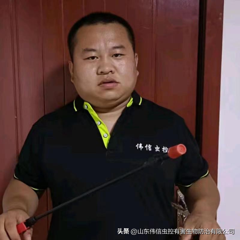 济南灭蟑螂公司哪家正规,济南家里灭蟑螂哪家靠谱
