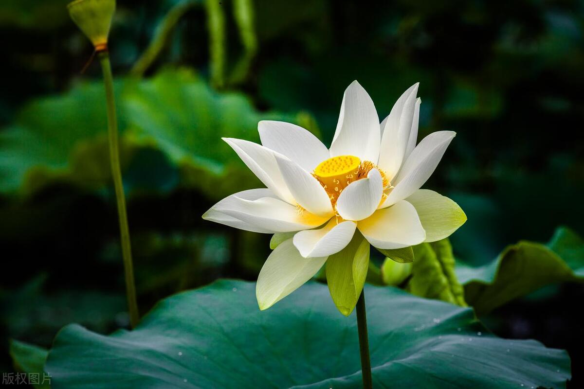 安徽女子每晚与23岁弟弟同睡姐姐至今不结婚：我要和弟弟过一辈子