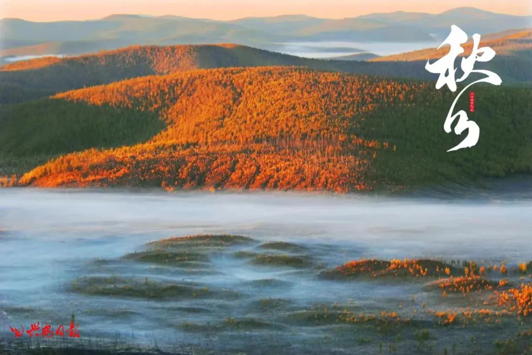 二十四节气之秋分丰收,秋分节气平分秋色