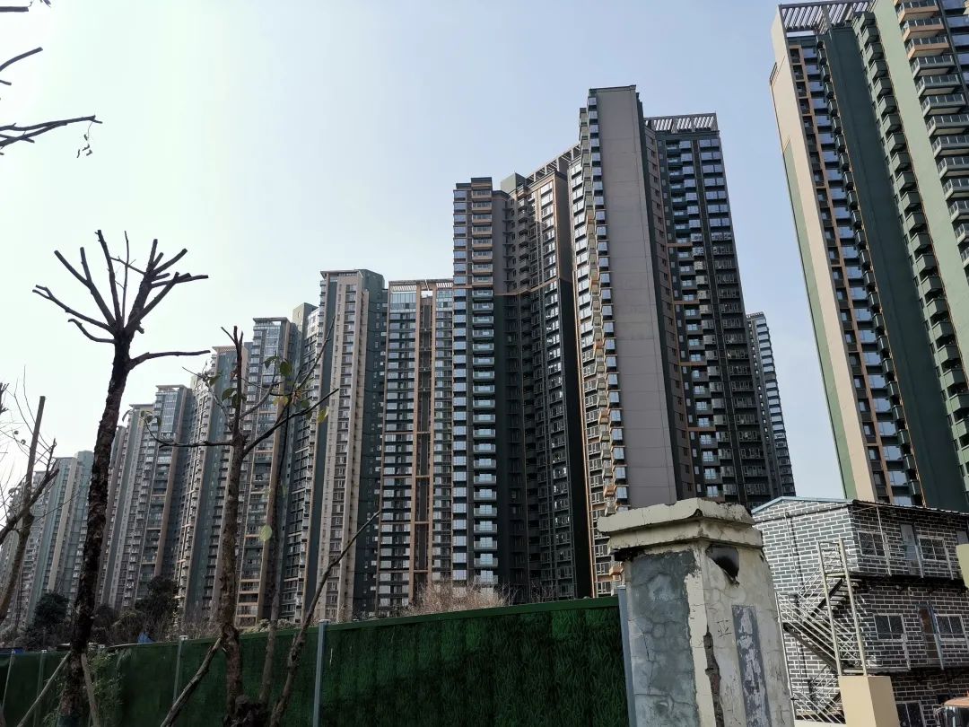 新鸿基悦城新楼盘,新鸿基悦城8月最新开盘评论