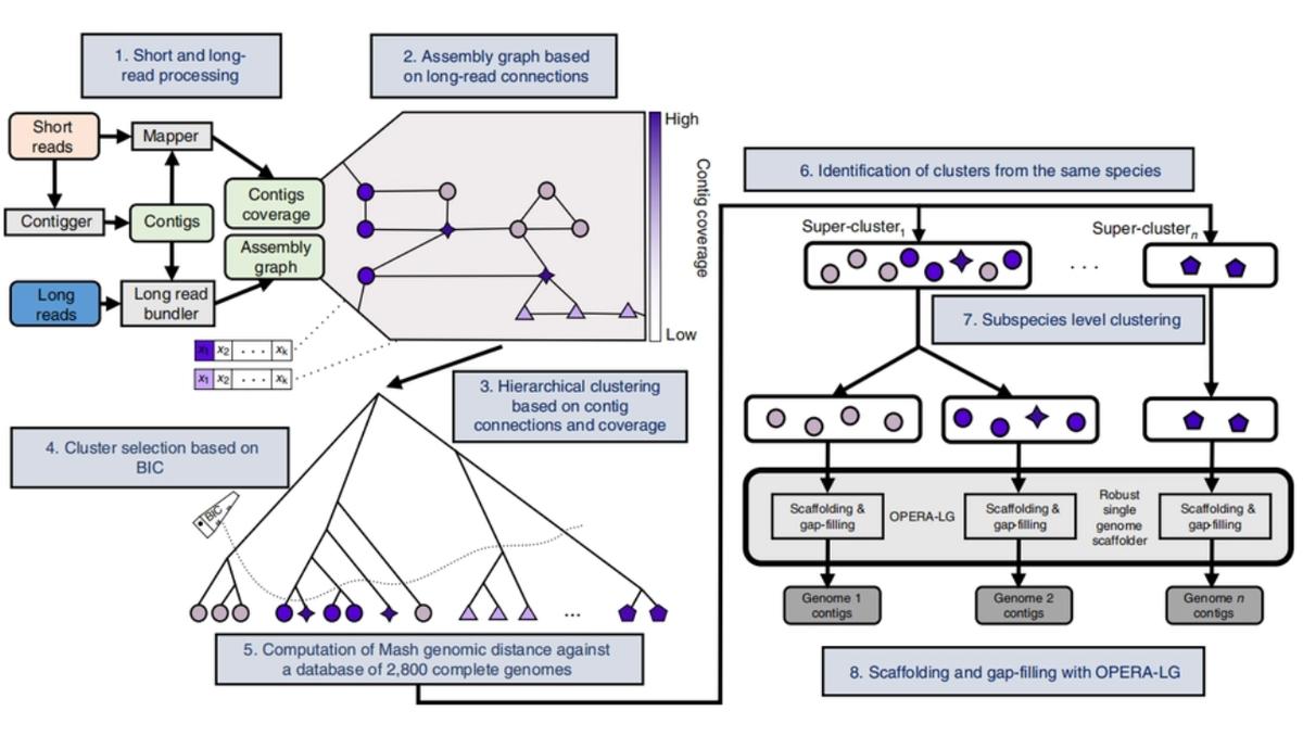 研究菌群,研究肠道微生物的生态学意义