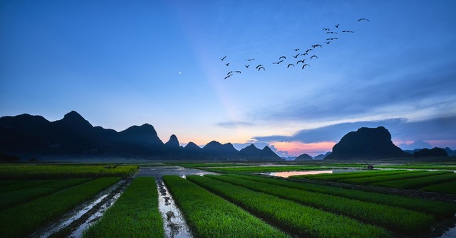 附近农村生活,附近农村体验生活