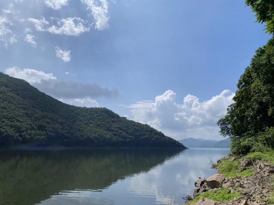 桓仁县山参之乡,桓仁山参是什么