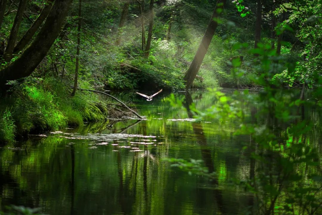 鎶曡祫妫灄鐞嗚储鏀剁泭,鎶曡祫妫灄