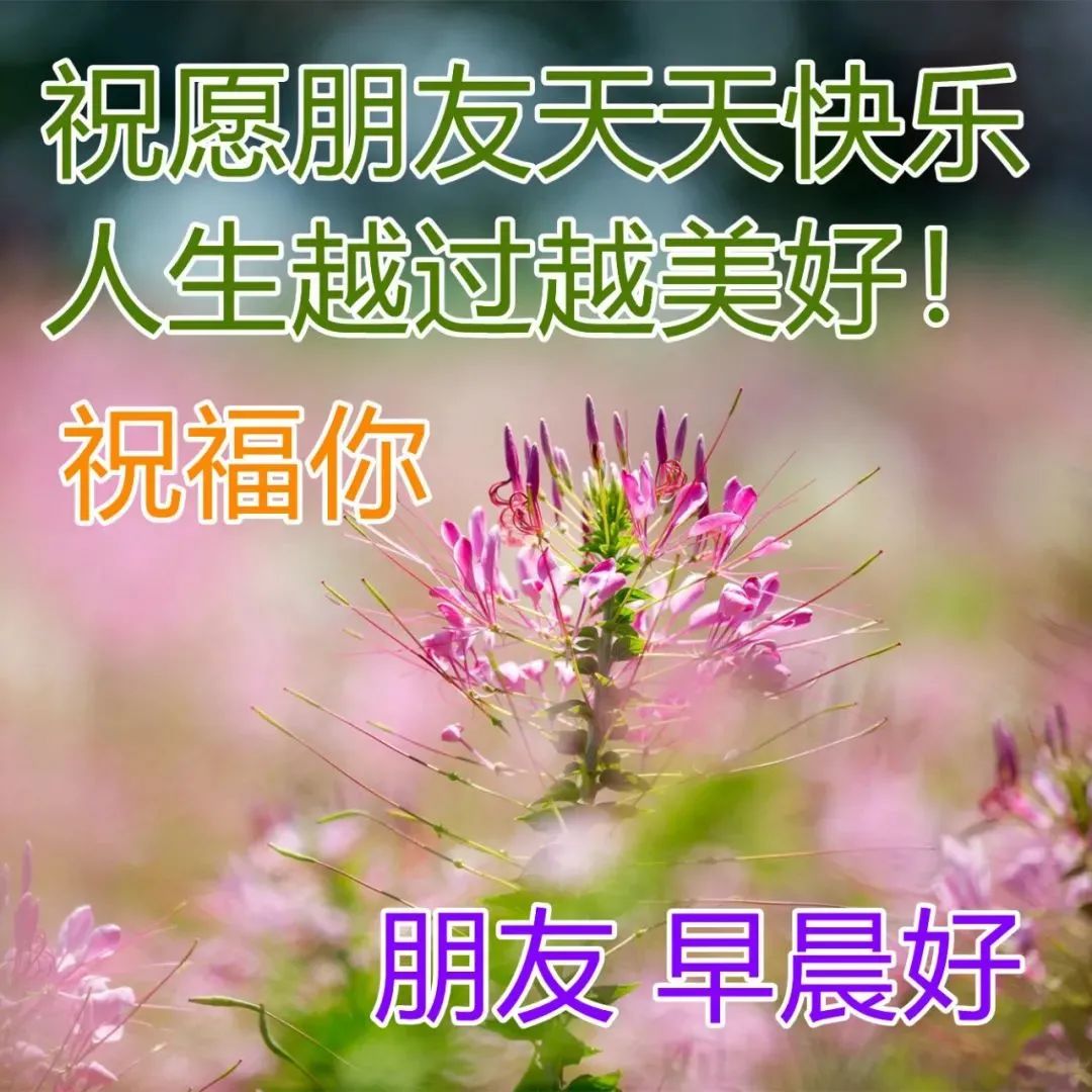 早上好最漂亮问候语动态表情图片,最美早安问候图片带字动态