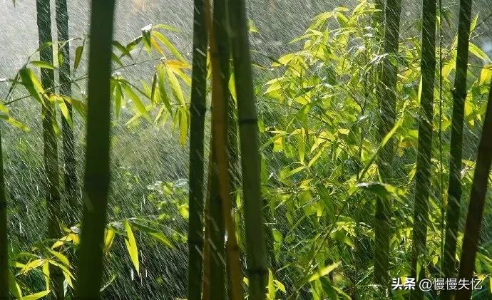 夏日唯美惬意的诗词,十首绝美夏天诗词大全