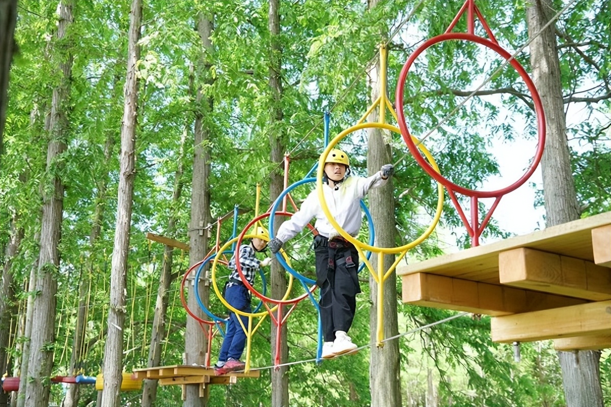 长兴郊野公园网红打卡,长兴岛郊野公园定点打卡