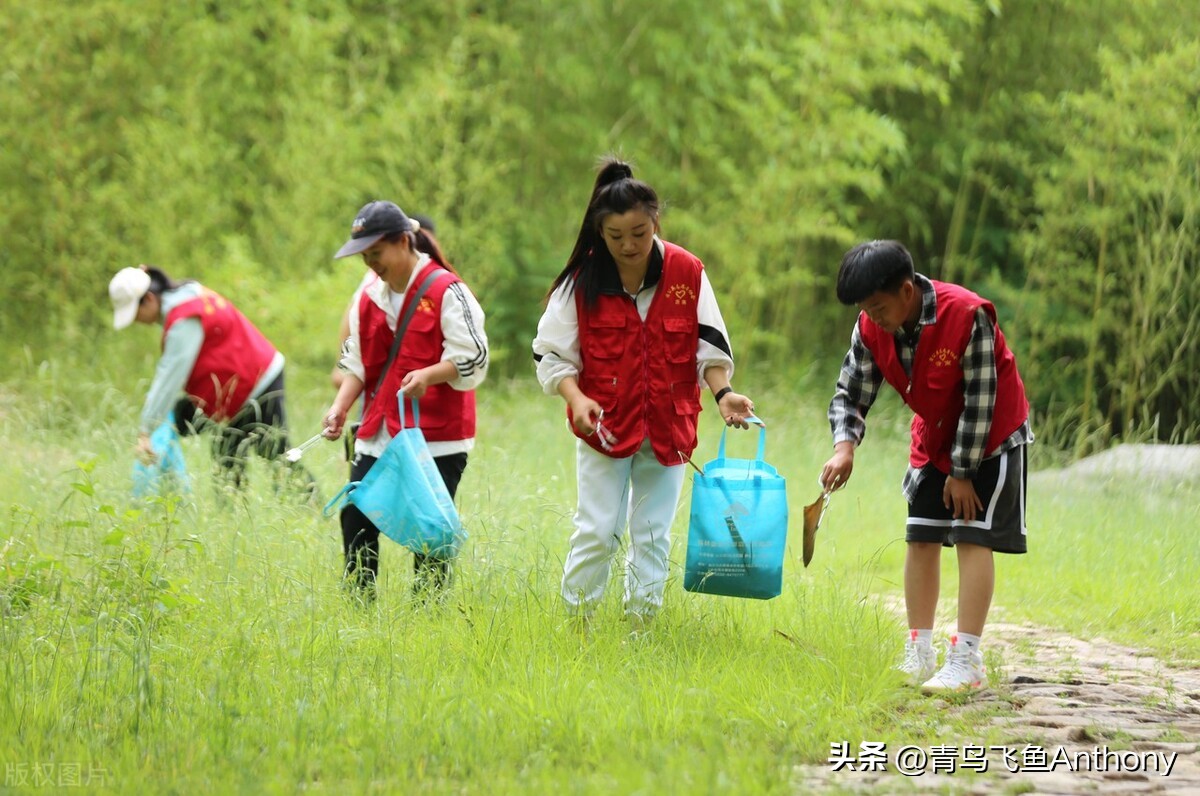 绿色是发展的最美底色,绿色生态与和谐共生