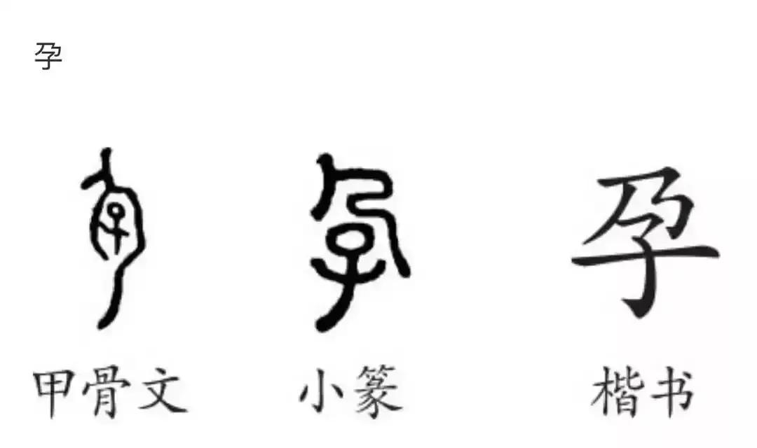 二里头真的是夏都吗,二里头既是夏都又是商都