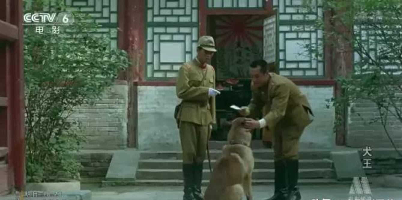 假借拍戏之名，却行“霸凌”之举，演员们的“假戏真做”令人胆颤