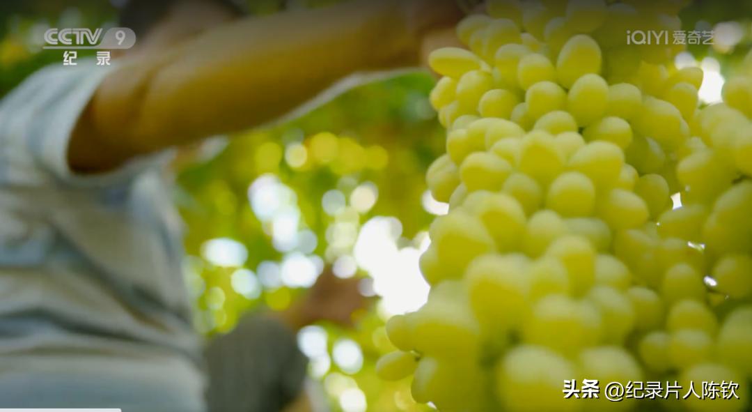 那些年一片封神的纪录片回眸——《舌尖上的中国》