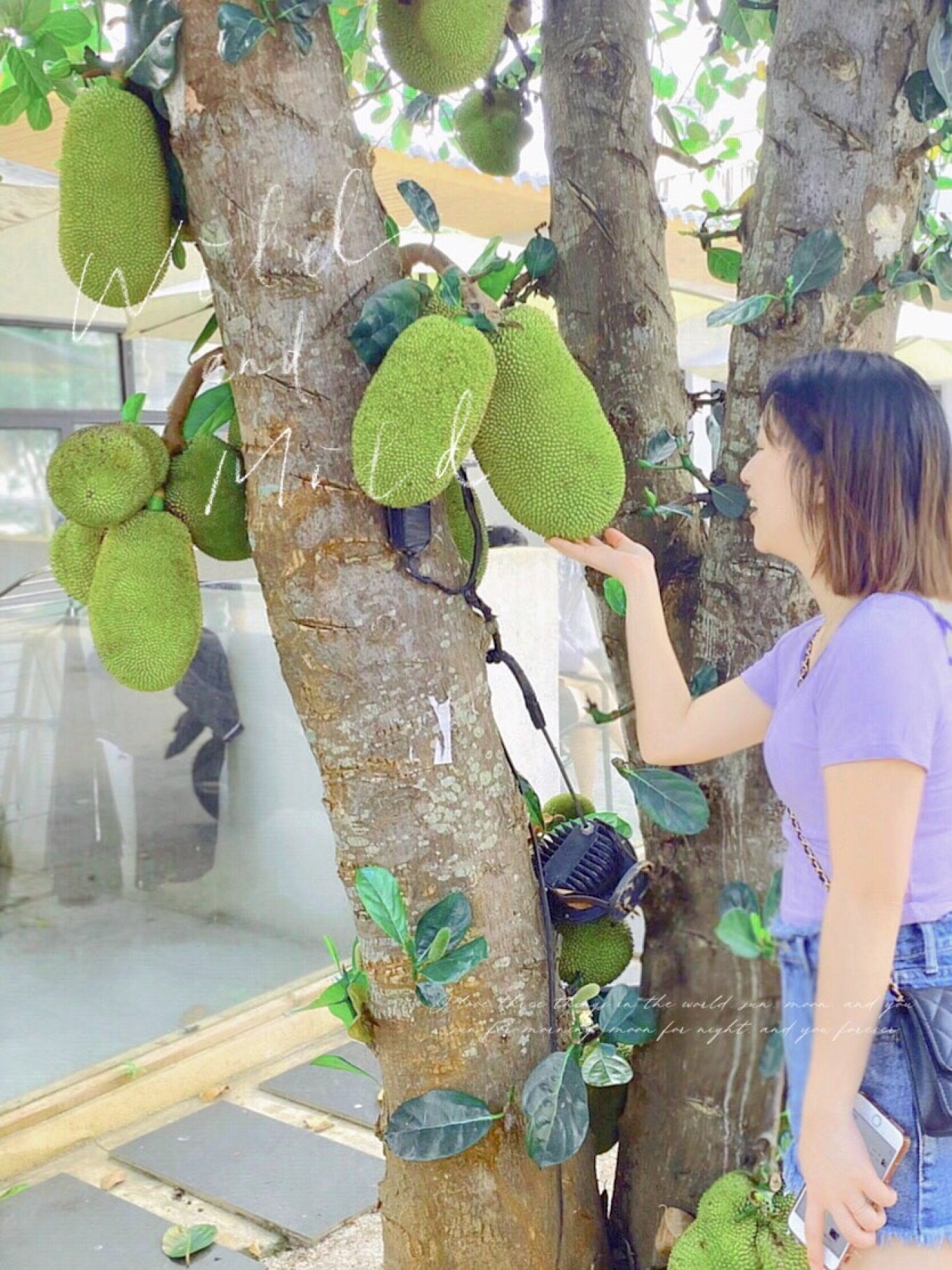 带你玩转北海涠洲岛最全攻略,带你去看海涠洲岛3天2晚行程推荐