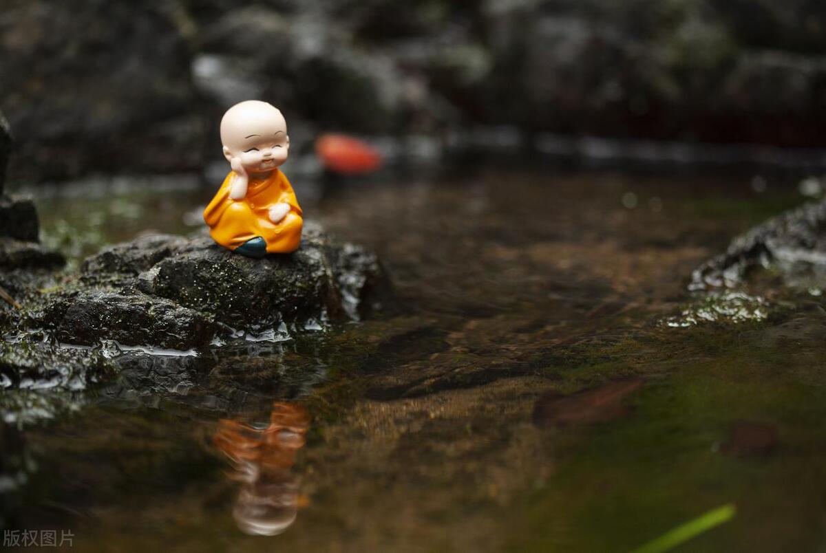 炒股一定要知道的十大口诀,炒股口诀不要追涨杀跌