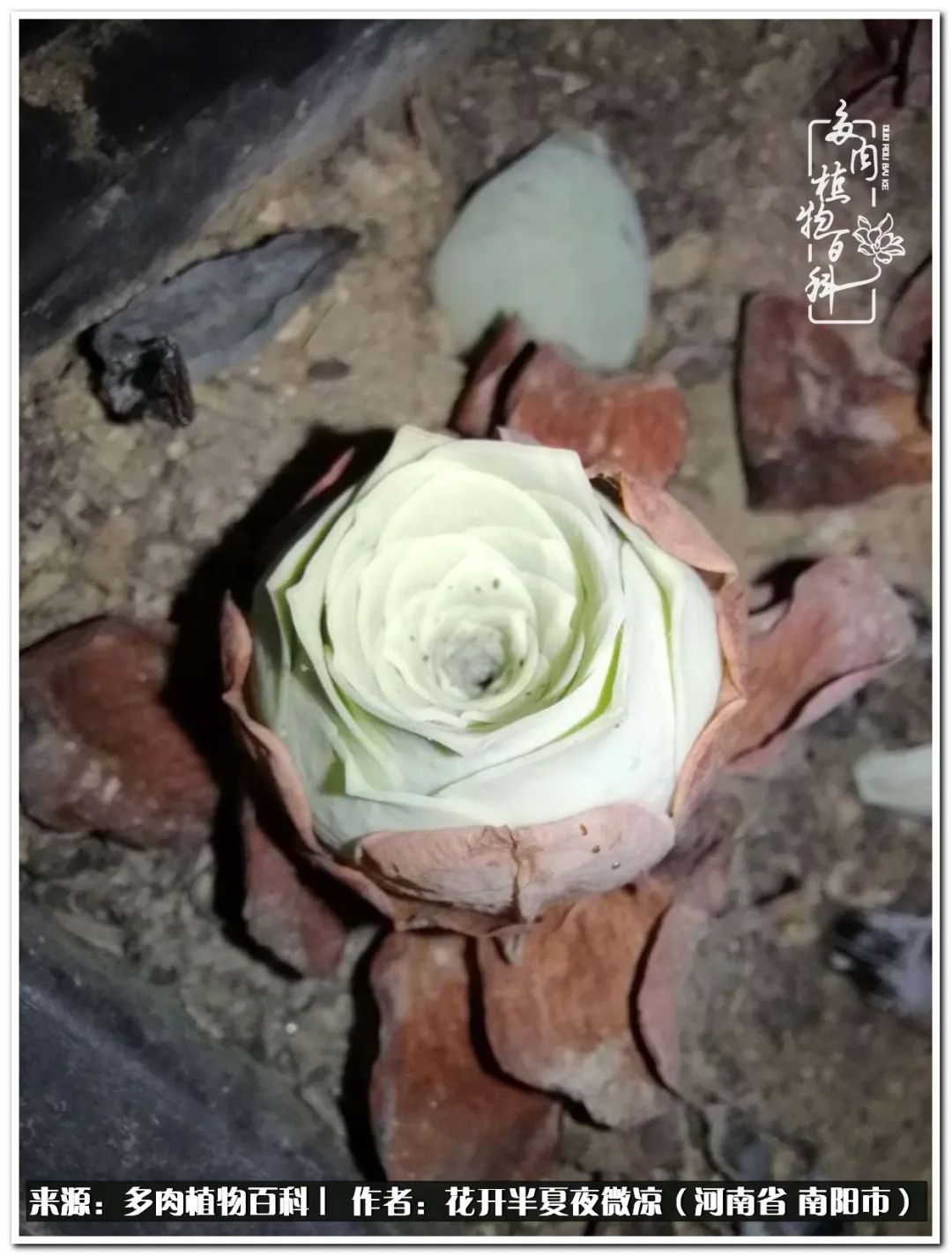 万事开头难只要坚持才有收获,万事开头难只要肯干就会有结果