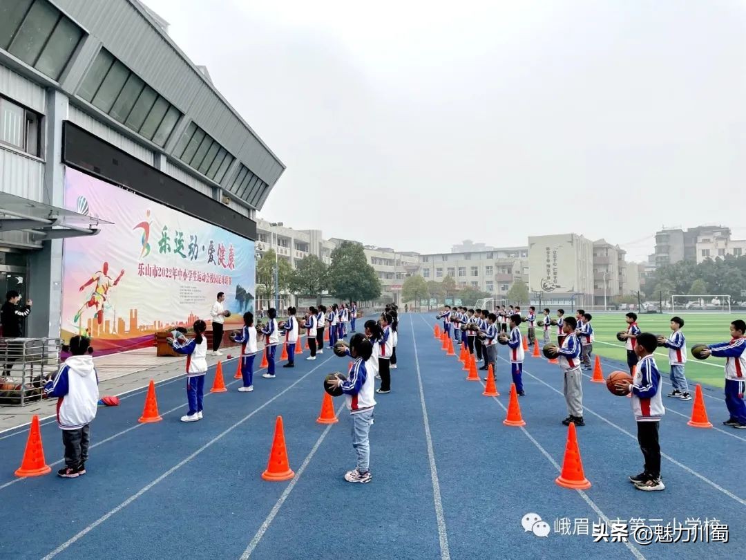 小学体育大单元教学实施效果,小学体育新课标大单元教学计划