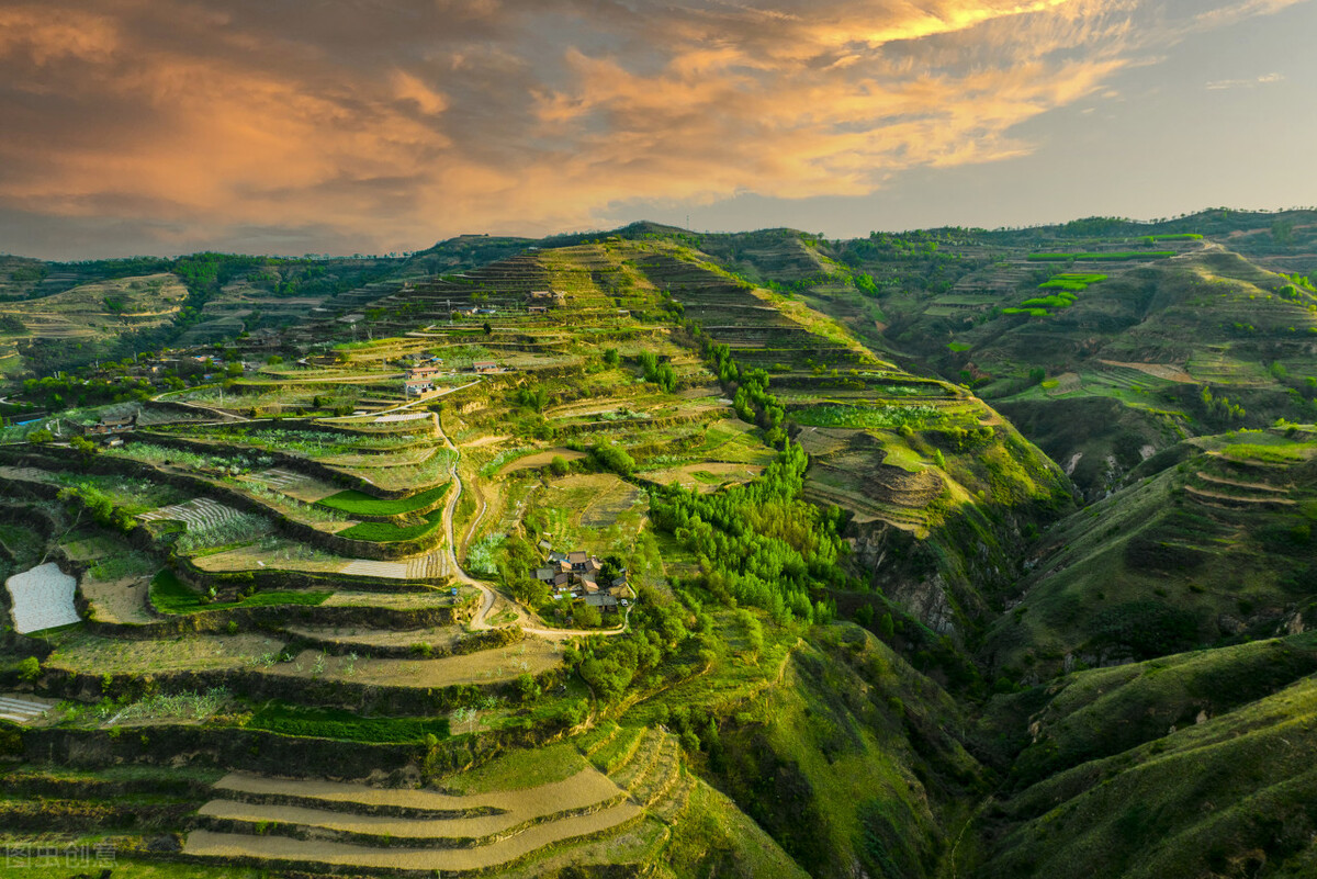 甘肃的什么地方的水果最好吃,甘肃的特色水果是什么