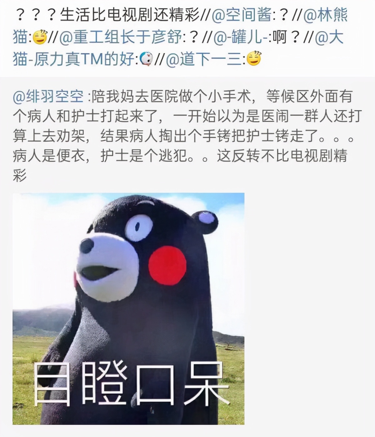 自己在玉米地里突然发现了个洞,在玉米地里迷路了怎么办