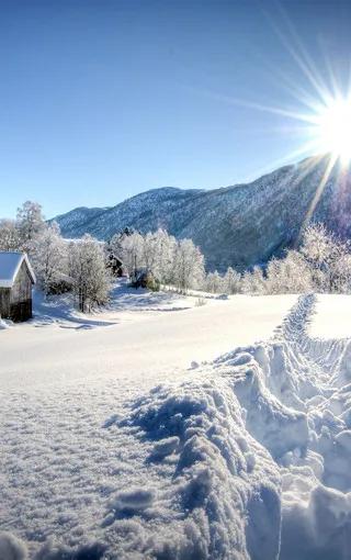 晚来天欲雪能饮一杯无全诗翻译,晚来天欲雪能饮一杯无类似的句子