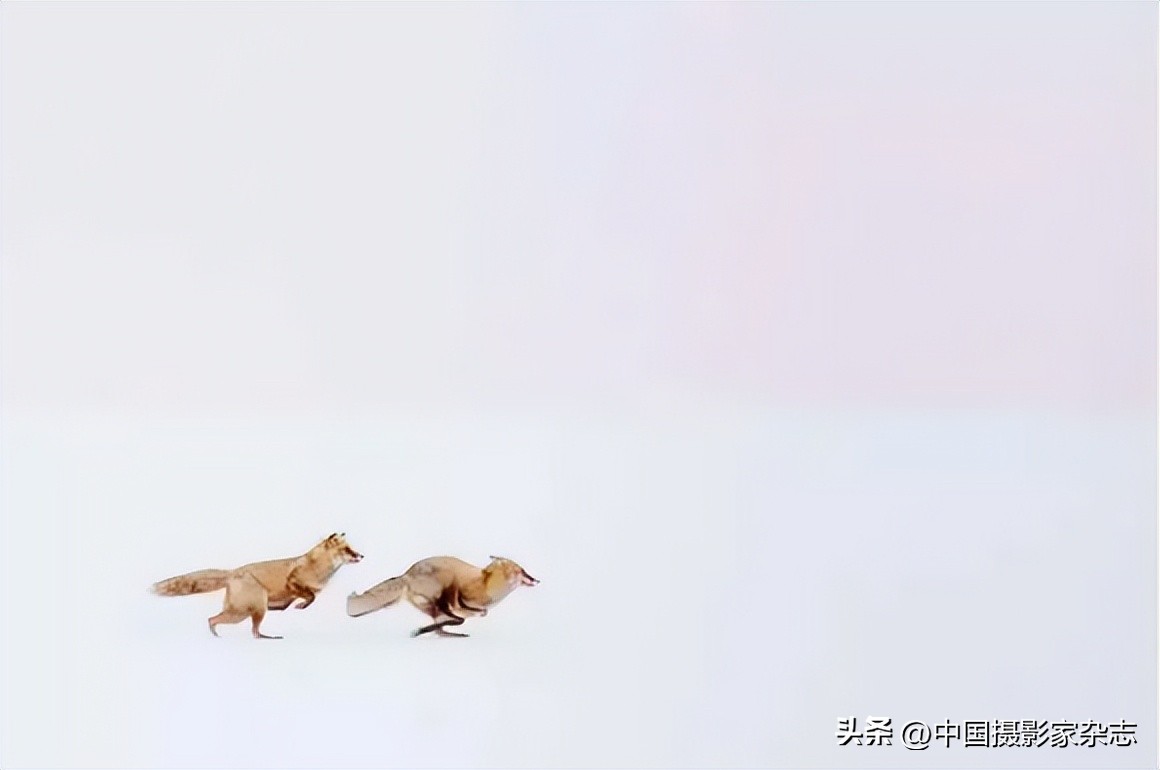 108张令人惊讶的历史与自然照片,有颠覆你认知的那张吗?