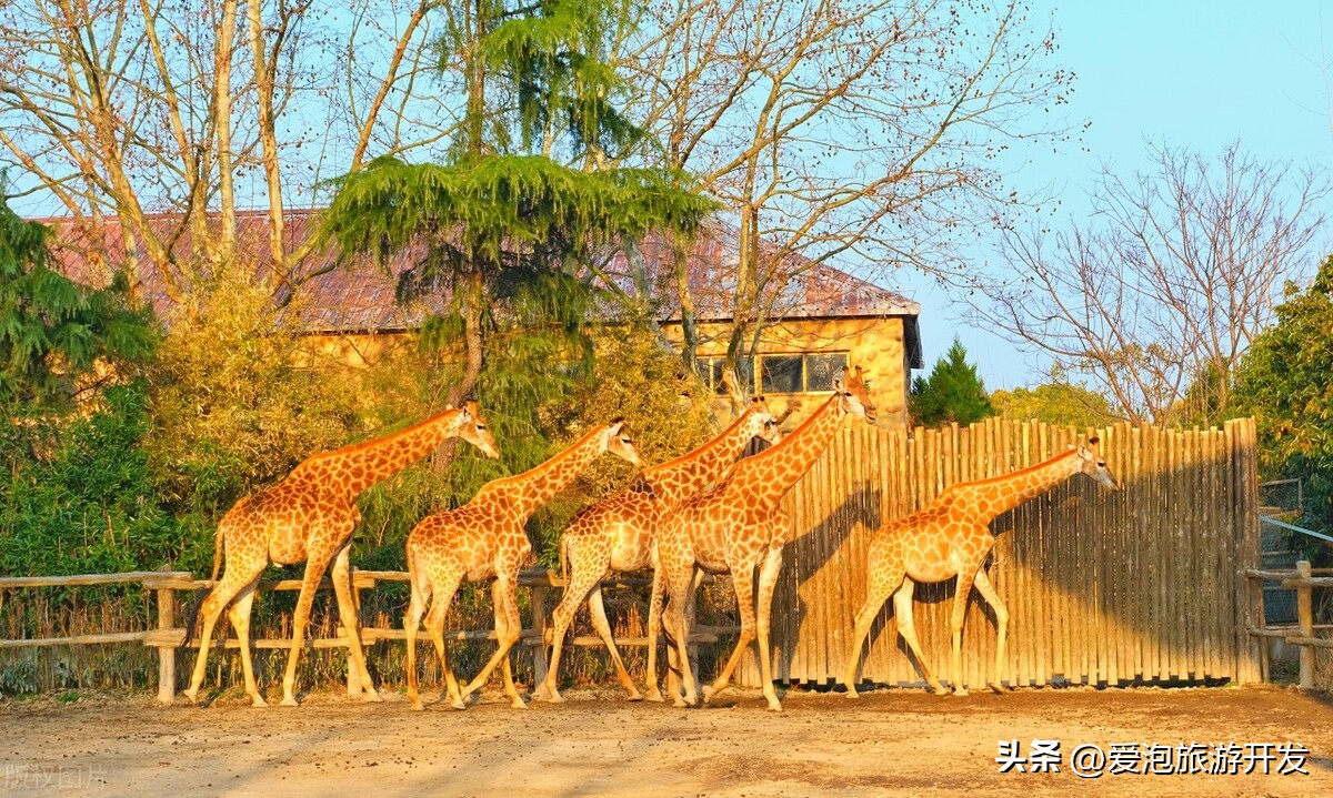 重庆乐和乐都主题公园套票,重庆旅游卡乐和乐都主题乐园
