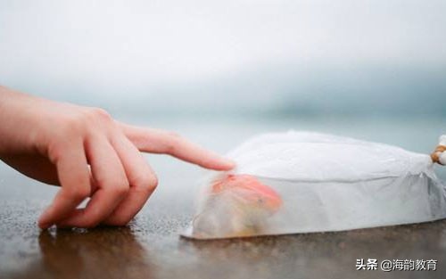 海韵教育方法,海韵教育视频全集