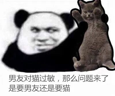 吸猫重度成瘾患者,吸猫肺痒咳嗽怎么回事