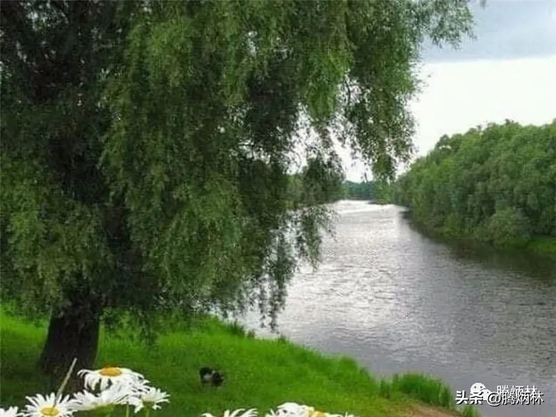 有关夏天的唯美诗句大全,夏天最美的句子和诗句