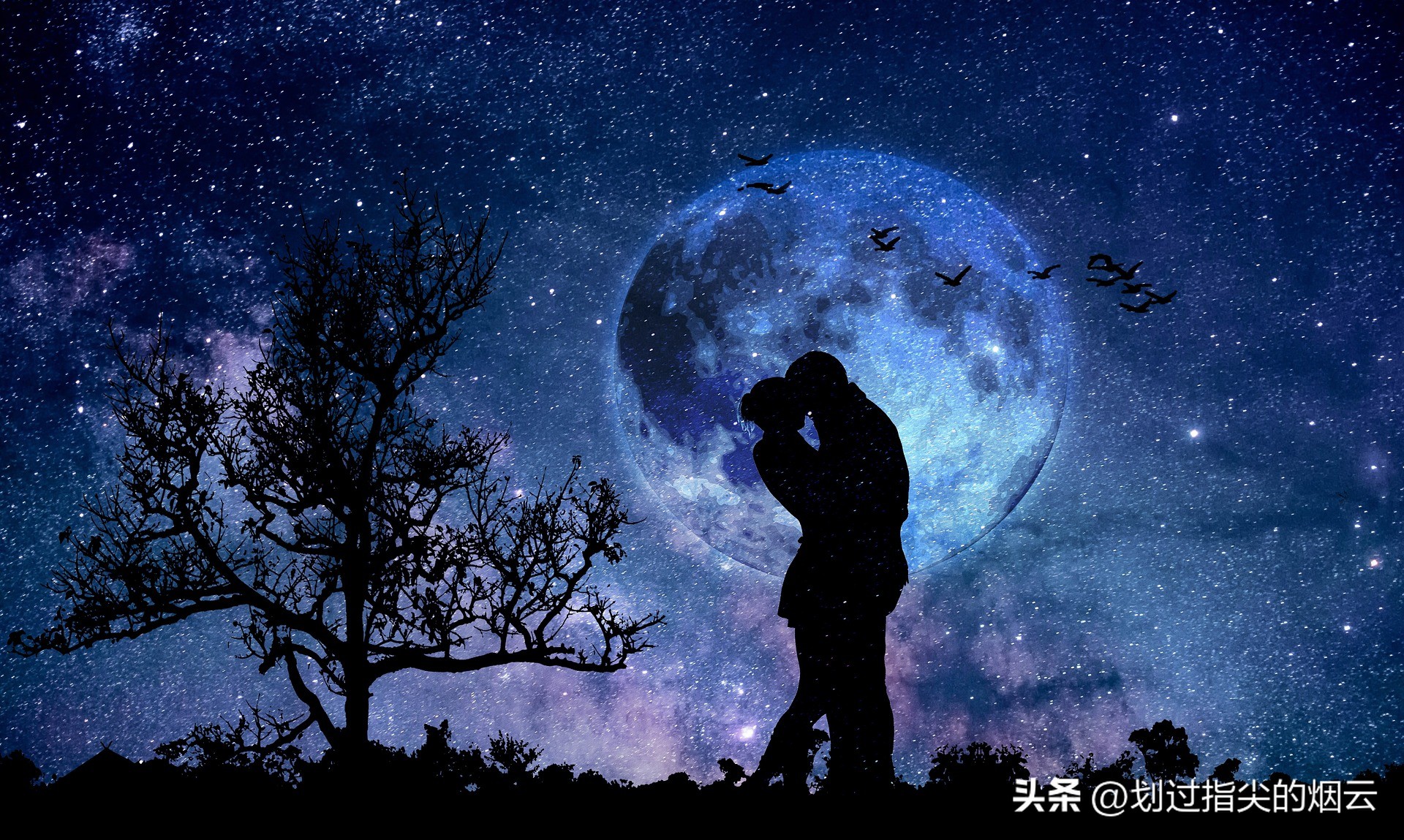 关于爱情的唯美诗句名句,关于爱情的唯美诗句