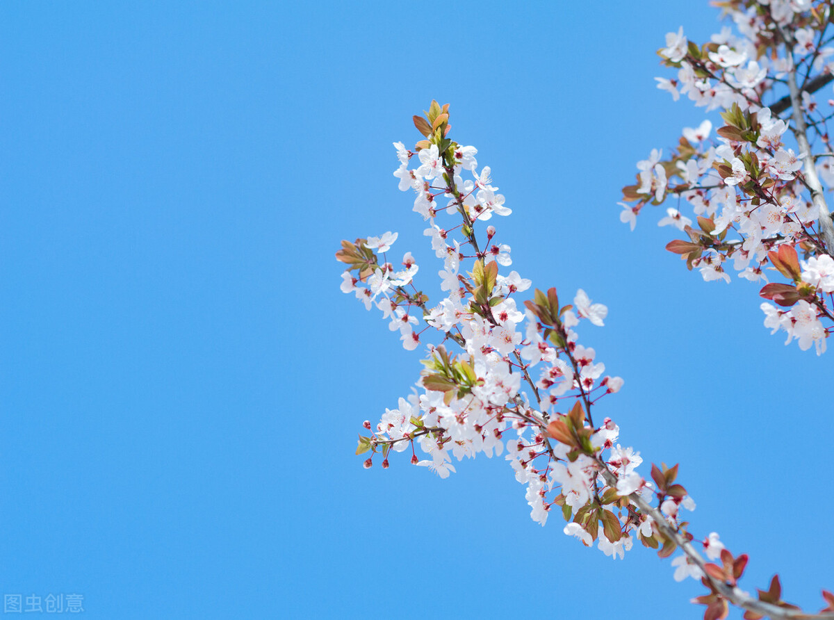 每日省钱存钱小技巧是什么,攒钱上瘾的十大存钱法