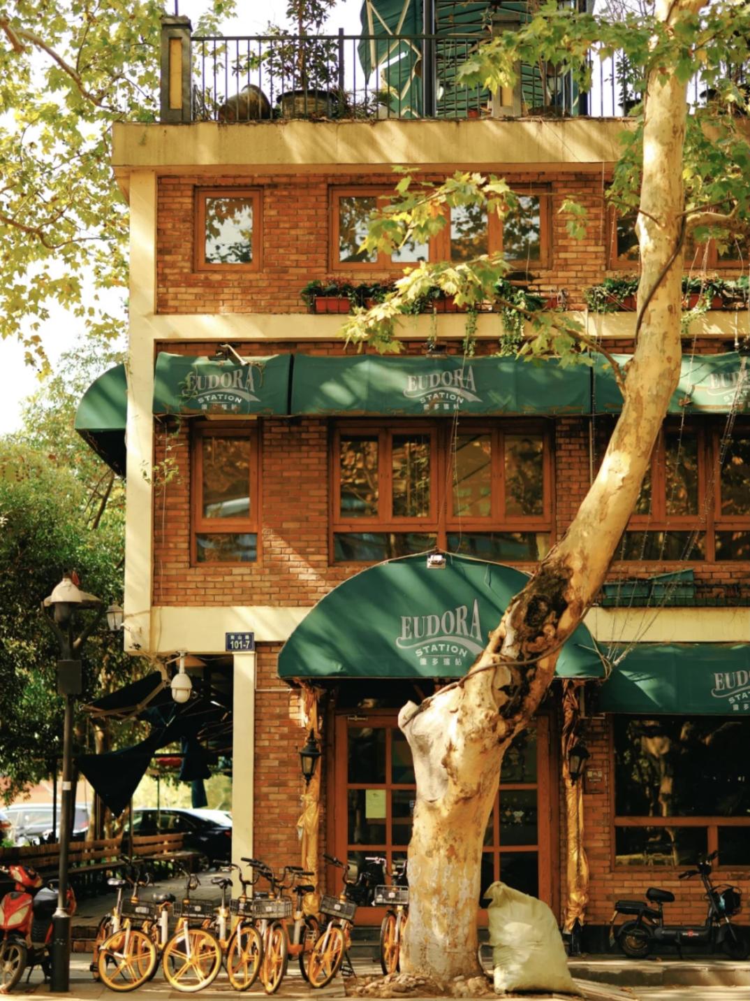 杭州秋日游攻略,杭州秋色上线这些赏秋地风景极佳