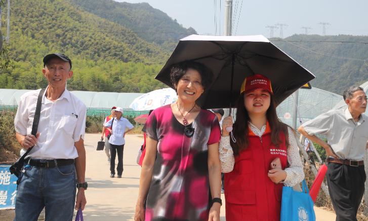 电网公司重阳节慰问离退休干部,电网重阳节
