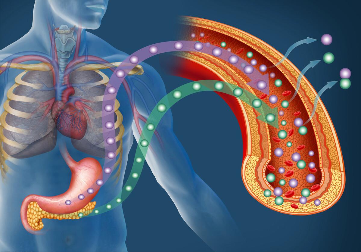 什么中药对降糖有很好的效果,最新口服降糖中药