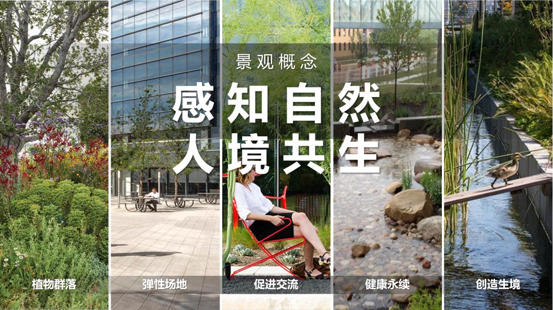 海淀北部新建项目,海淀最近规划项目