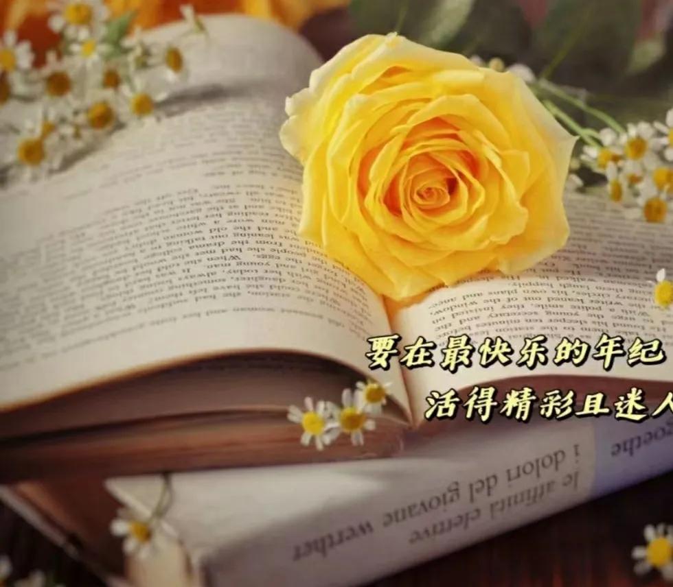 写在世界读书日:读书很苦,读着读着就甜了