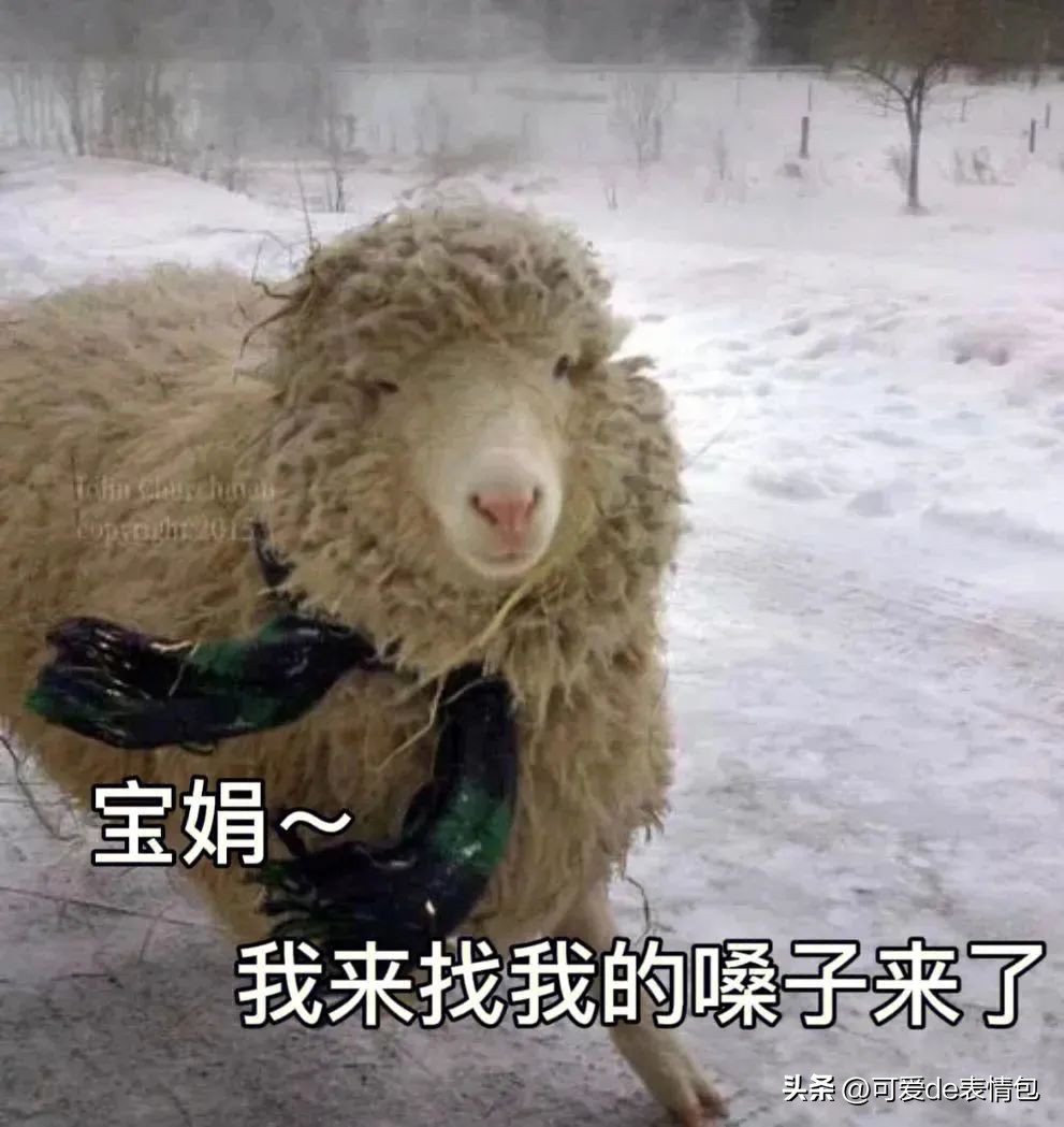 抖音黑人老嫂子搞笑表情包合集