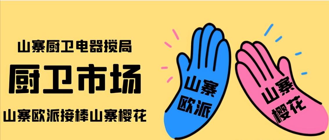 三大山寨油烟机,2024年十大山寨家电品牌