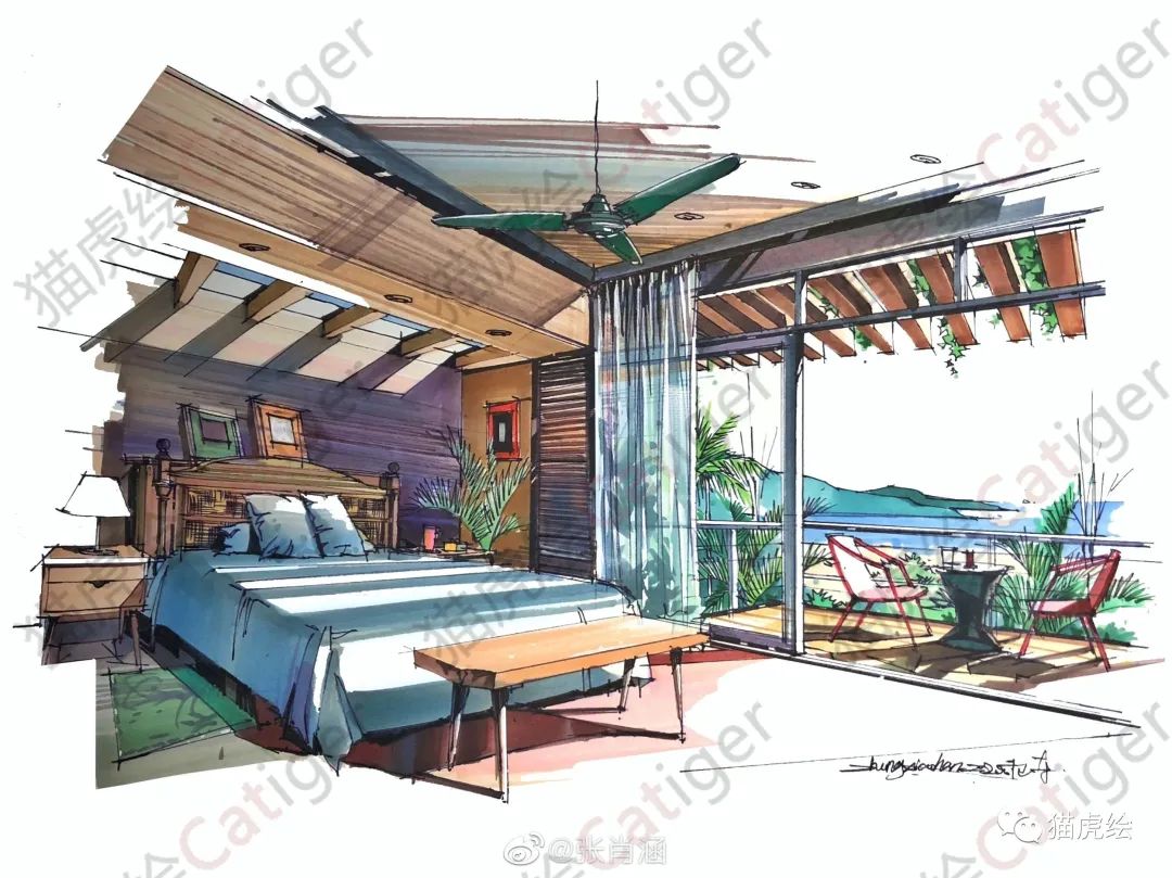 2022猫虎绘暑假手绘班招生简章「线上+线下」