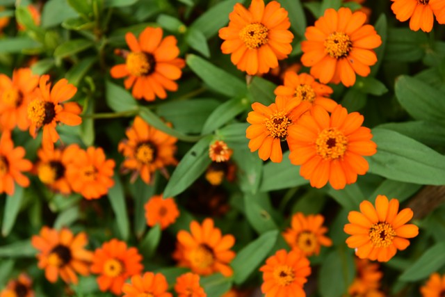 涓勾浠ュ悗濠氬Щ,涓勾濠氬Щ瀹炴儏