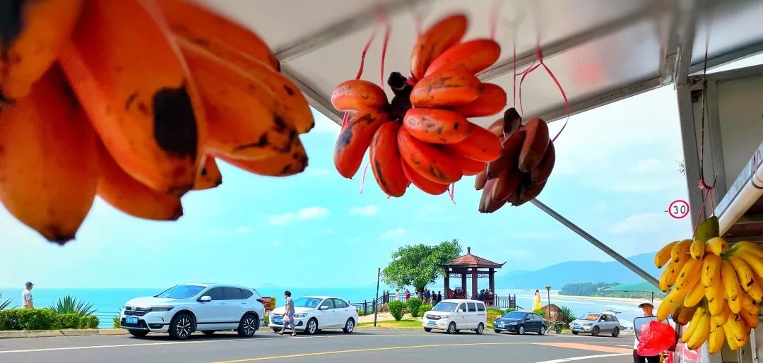 海南三天环岛游最佳路线,海南环岛游最佳路线图及美食费用