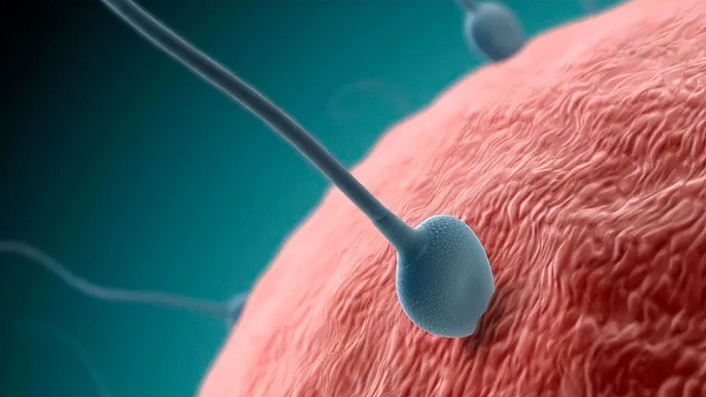 女人切除子宫,对x生活有影响吗?医生说实话:满意度反而高了