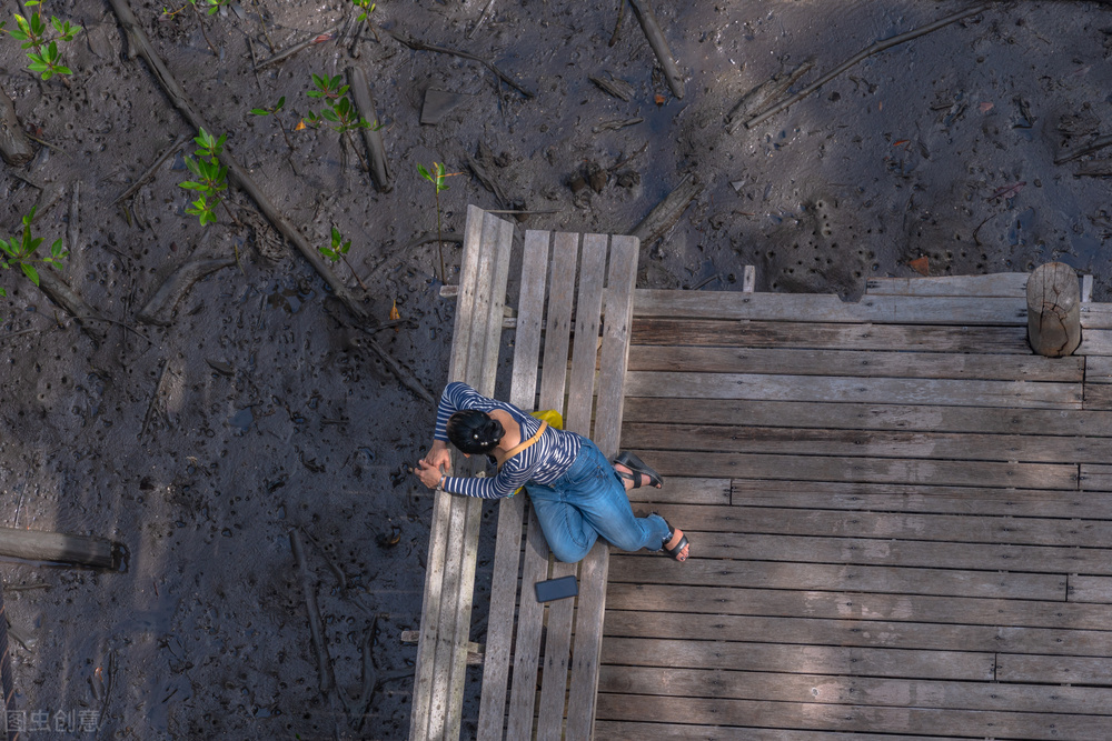 每天励志的诗句,坚持的优美诗句