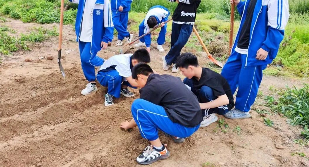 曹县实验中学倪集校区兴趣课堂,曹县倪集实验学校