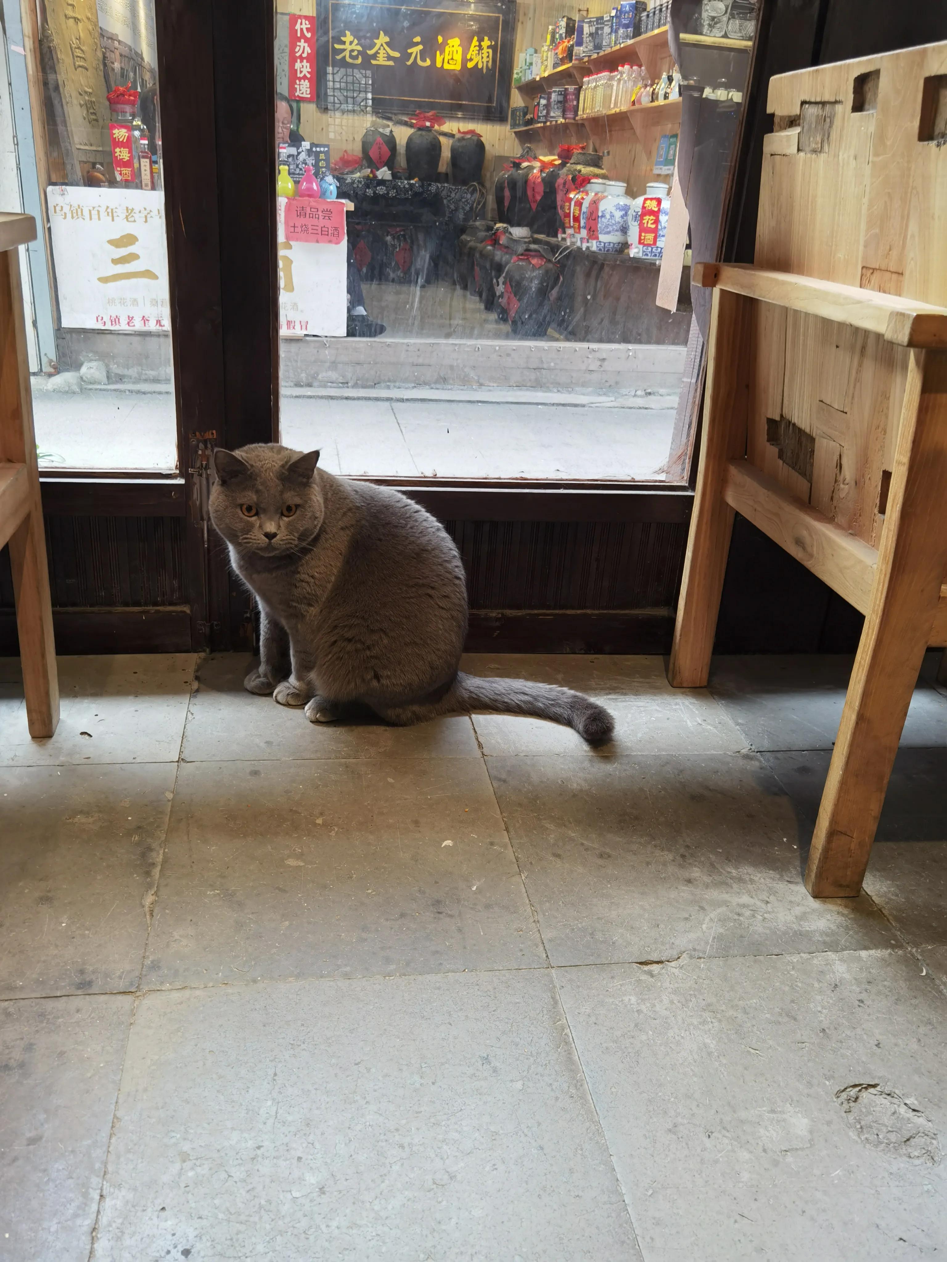 乌镇似水年华是黄磊开的吗,似水年华