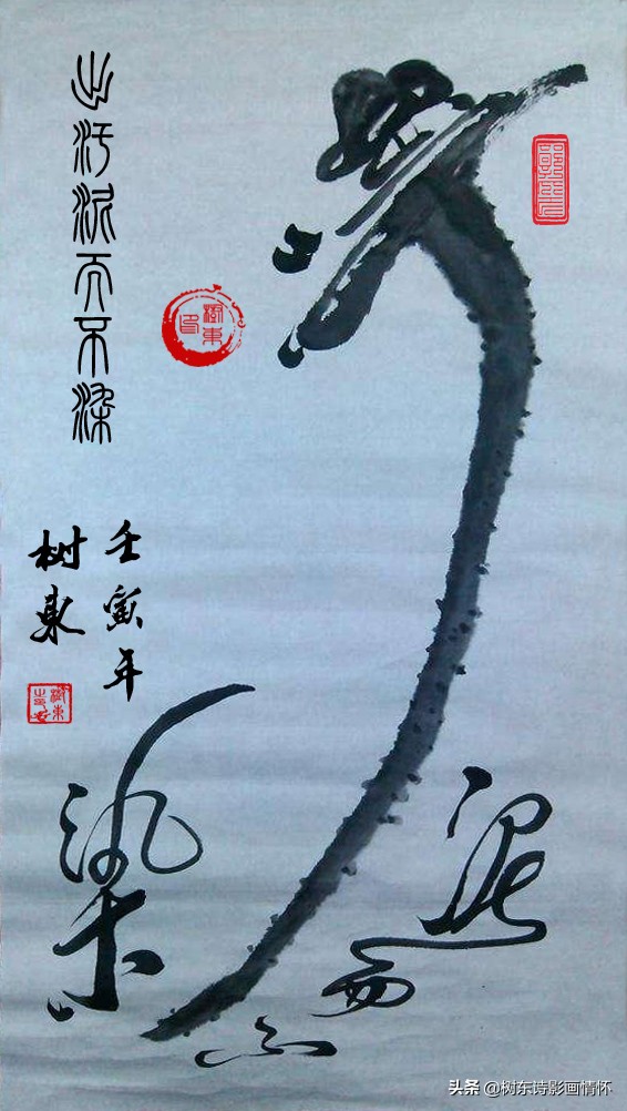 荷花美出淤泥而不染,这才是真正的荷花出淤泥而不染