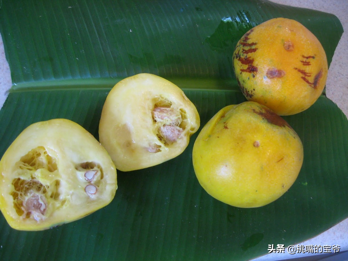 坐在赤道上，气候似云南的南美小国，数百种水果让人口水不断