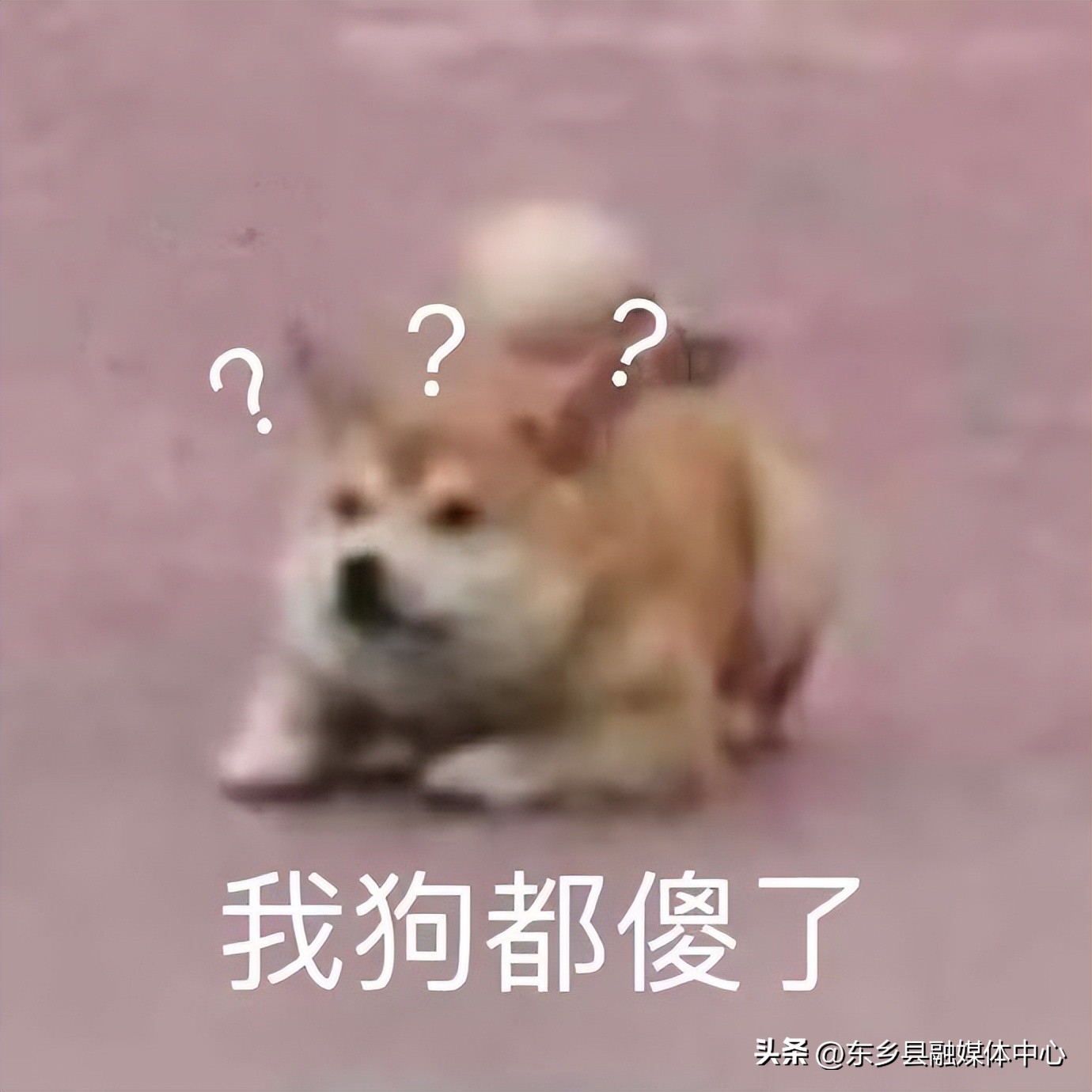 公务员政审和党员政审哪个严,组工讲堂视频大全