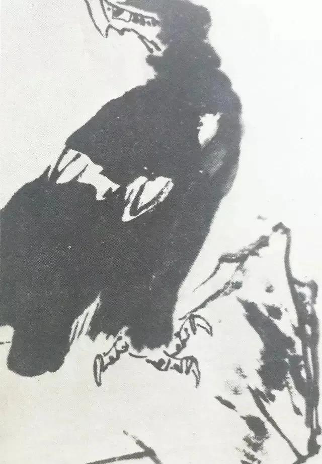 国画大师李苦禅一步一步教你画“四绝神鹰”，经典好学