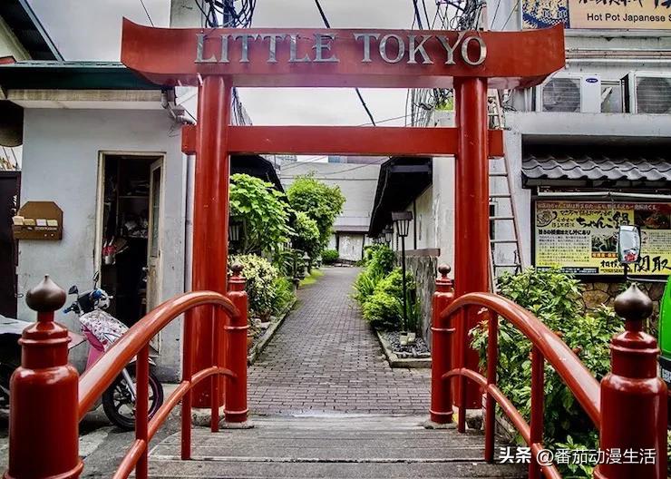 外国的宅活动是什么样子?来听菲律宾的Cosplayer少女讲讲吧。